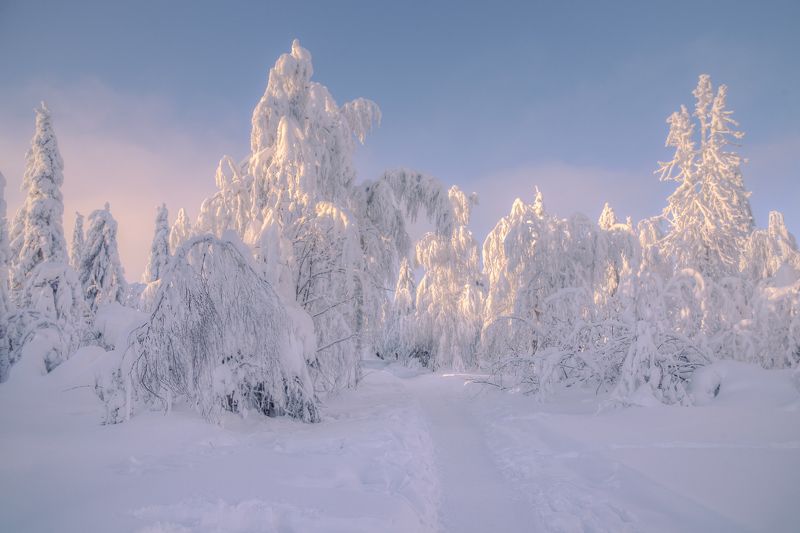 зимний вечер...photo preview