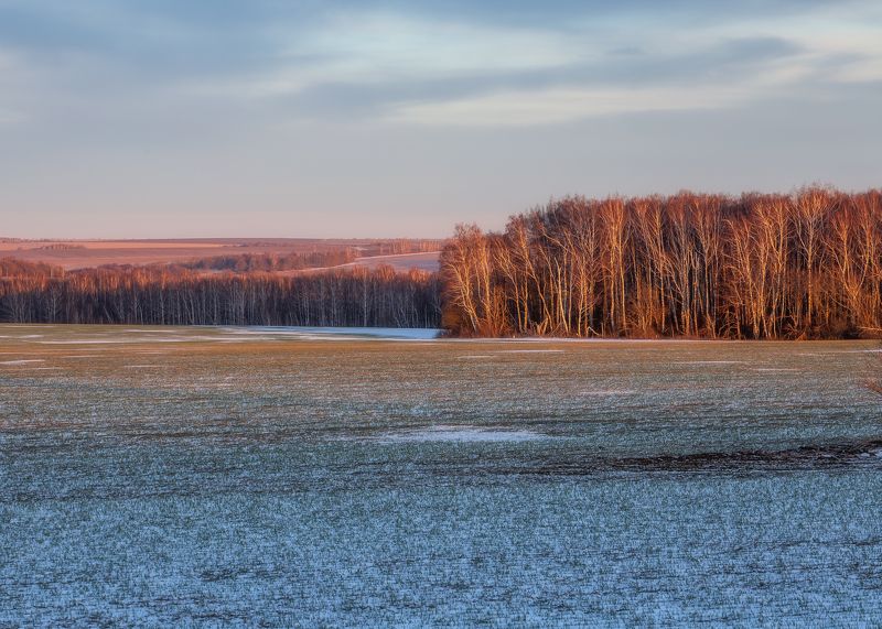 природа, Тульская область, пейзаж, закат, закат в полях, пейзажная фотография Тульская областьphoto preview