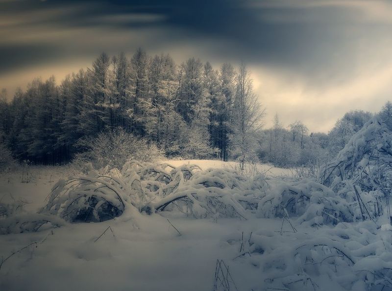 пейзаж, природа, зима, лес, снег, небо, облака Природа Севера Iphoto preview