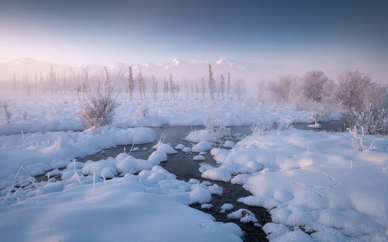 алтай, горный алтай, пейзажи алтая, кош-агачский район, мороз, морозный туман, зимний алтай, зима, горы, курай Нежность декабряphoto preview