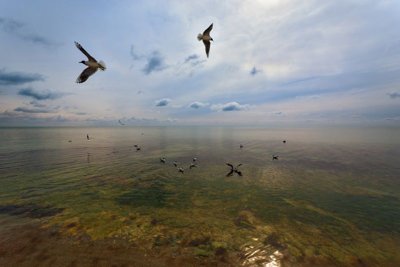 Штиль на Черномphoto preview