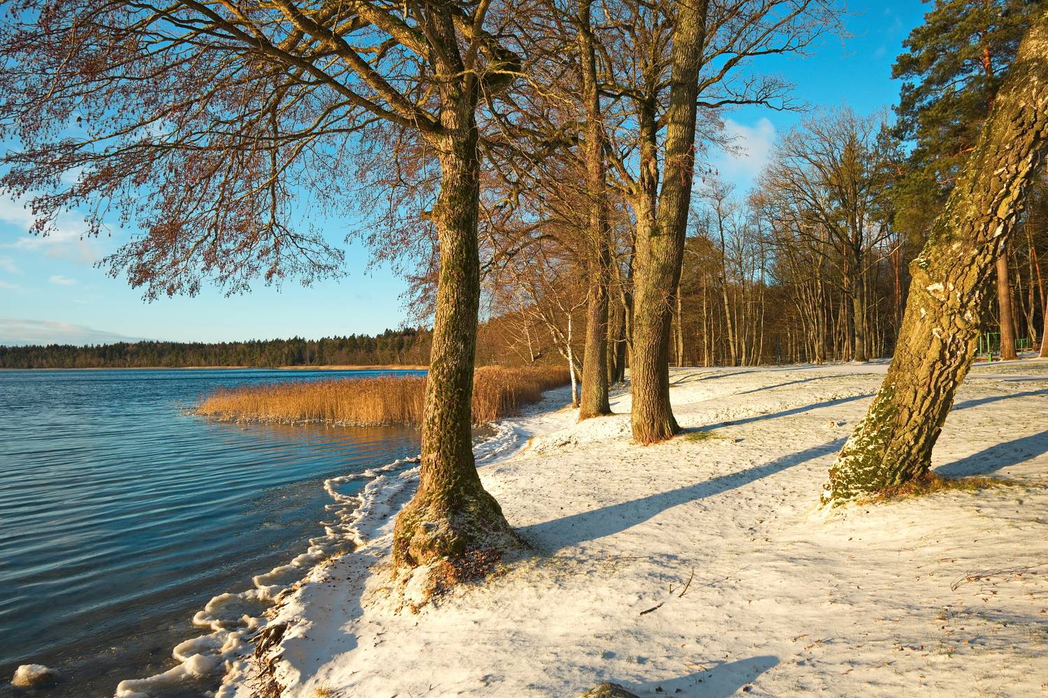 зима, снег, озеро свитязь, беларусь, Виктор Гурков