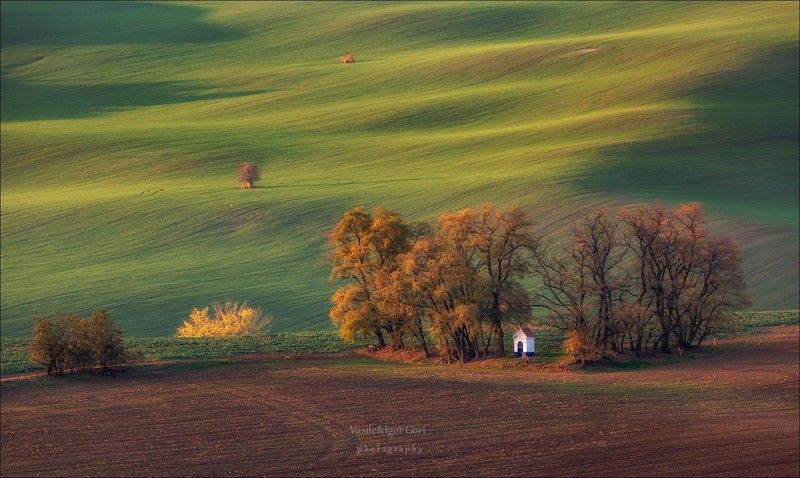 южная моравия,пейзаж,линии,south moravian,lines,свет,czech,осень,чехия,landscapes,часовня,rural Часовенка в осеннем стиле фото превью