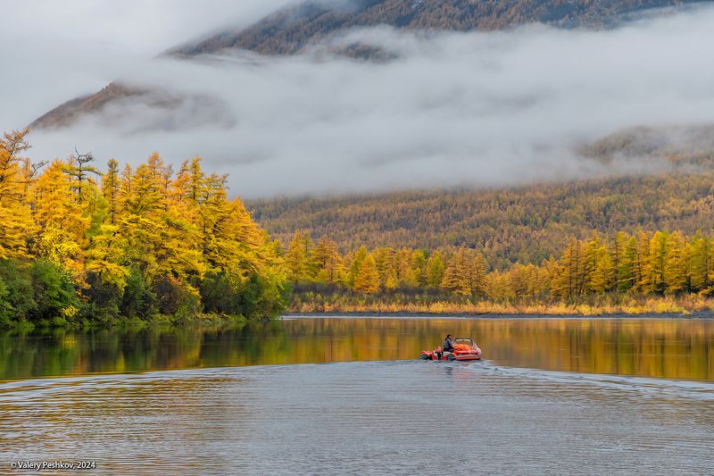 плато путорана, облачность, река курейка, золотая осень, лиственницы, таймыр, заполярье, база коваля, владимир коваль Облачные сюжеты плато Путоранаphoto preview