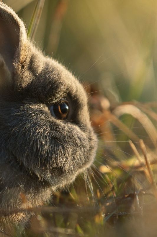 Fragmentosphoto preview