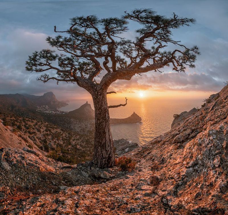 крым, новый свет, караул оба, рассвет, январь Райские рассветыphoto preview