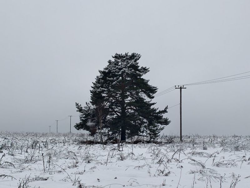 Как обложка пост-рок альбома фото превью