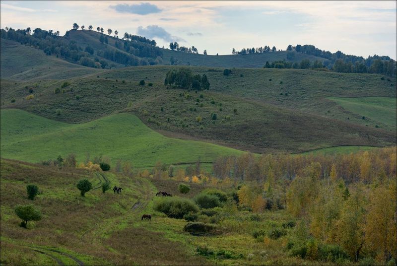 Осень на среднем Алтаеphoto preview