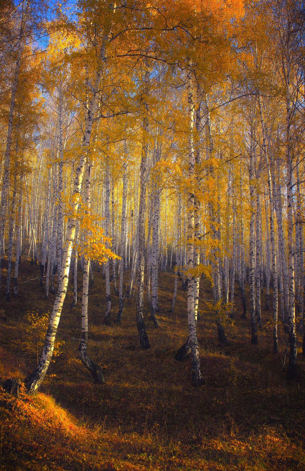 , Пермяков Михаил