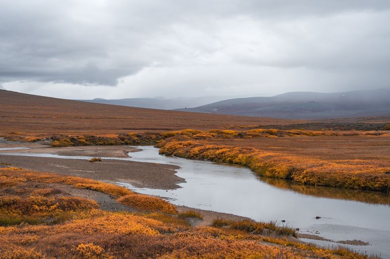 Тундра Чаунского районаphoto preview