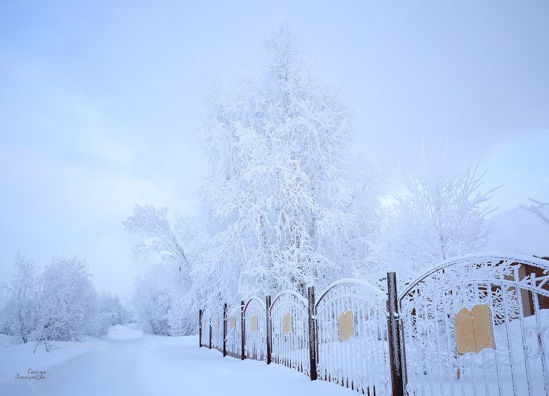 зима, деревья, снег, иней, ограда, мороз, холод Зимний сюрphoto preview