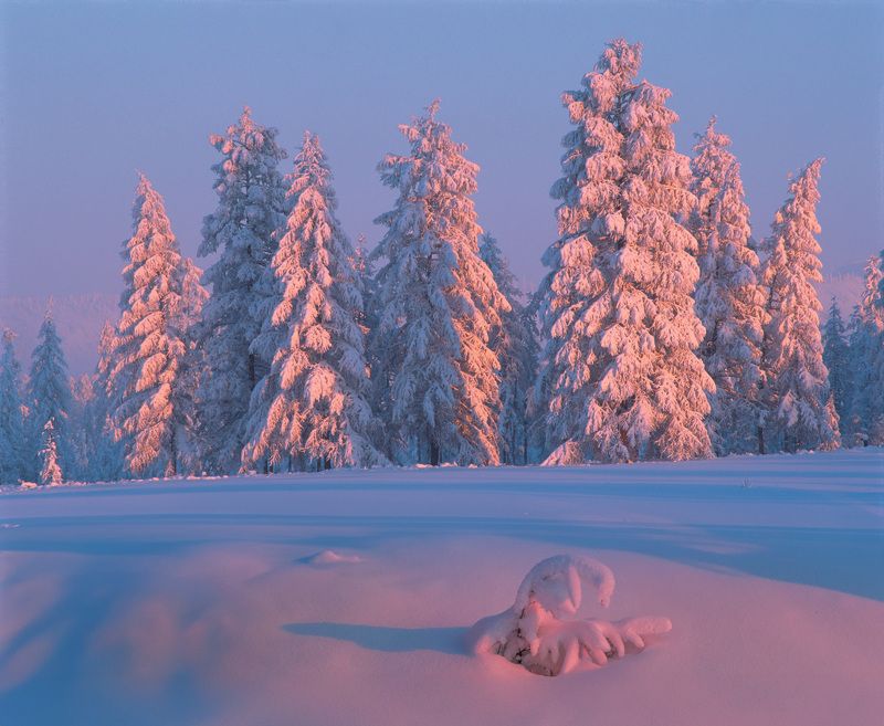 Фототуры с Владимиром Рябковым, #topnature #russpasibo #magic_shots #lovelyRussia #sunset_vision #exclusive_sky  #exclusive_shots #loves_russia2 #photoarena_nature #nature_sultans #nature_perfection #rsa_sky #rsa_sunset #photorussia #rsa_naturepics #sunse Зимний Оймякон. фото превью