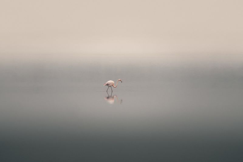 Back in Your Own Worldphoto preview