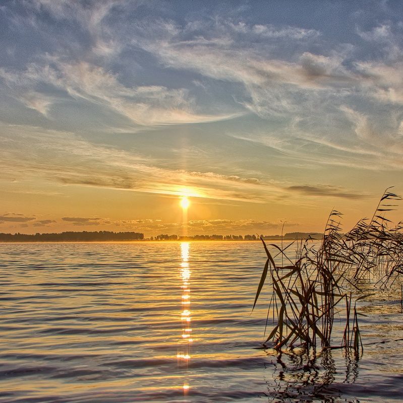 природа пейзаж лето озеро восход солнце облака камыши облака сибирь На утренней зорькеphoto preview