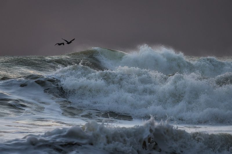 шторм волны море В полёте над волнами.photo preview