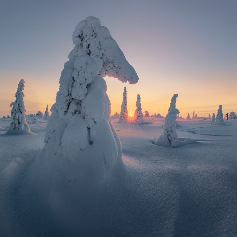 Riisitunturi National Parkphoto preview