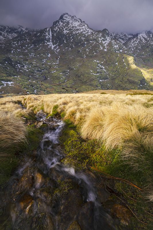 photography, mountain, autumn, fog, landscape, photo, awakening, flowers, land, landmark, lands, soft ligth, ligth, mountains, photo, river Witch worldphoto preview