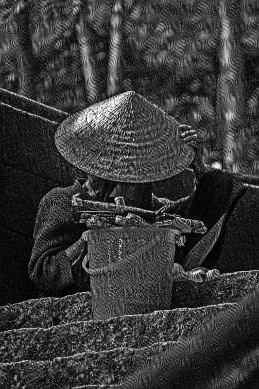 Nón lá Việt Namphoto preview