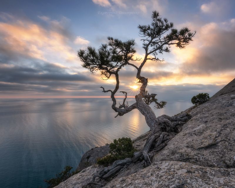 крым, новый свет, горы, море, закат, пейзаж, сосна, landscape Пик Космос и его самая фотогеничная модельphoto preview