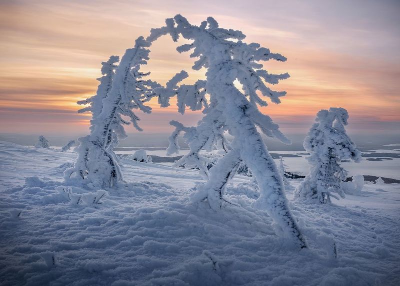 север, зима, снег, мороз, закат, сопки Противостояние фото превью