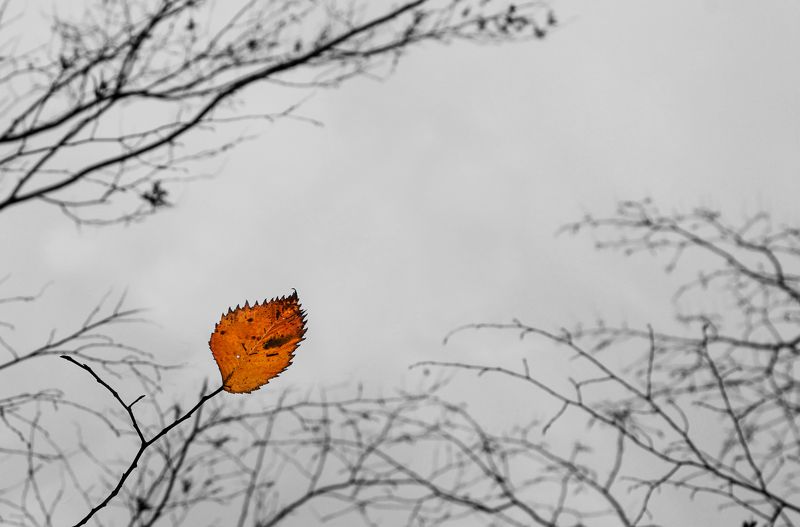 А он никак не мог понять...photo preview