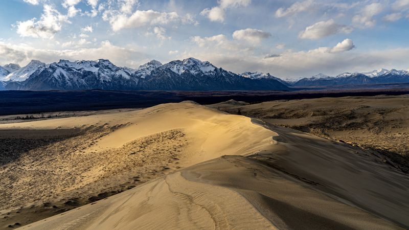 чарские пески, пустыня, кодар, забайкалье Природные фактуры. Чарские пески, Забайкалье. фото превью