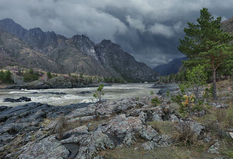 Суровая Катуньphoto preview