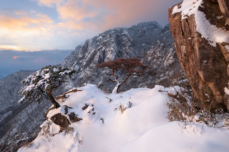 Last winter of the couple pinephoto preview