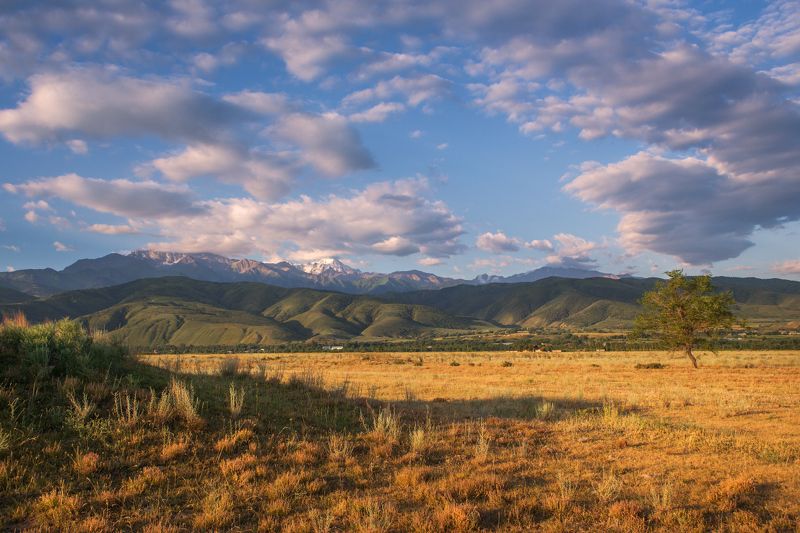 казахстан иссык заилийский алатау пик талгар Предгорья г. Иссык.photo preview