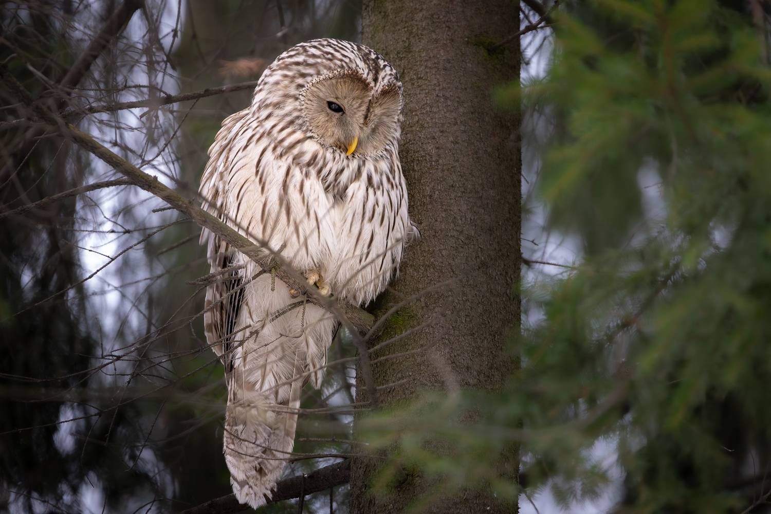 , Вячеслав Мельников