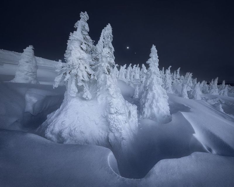 Обитатели уральских сопок фото превью