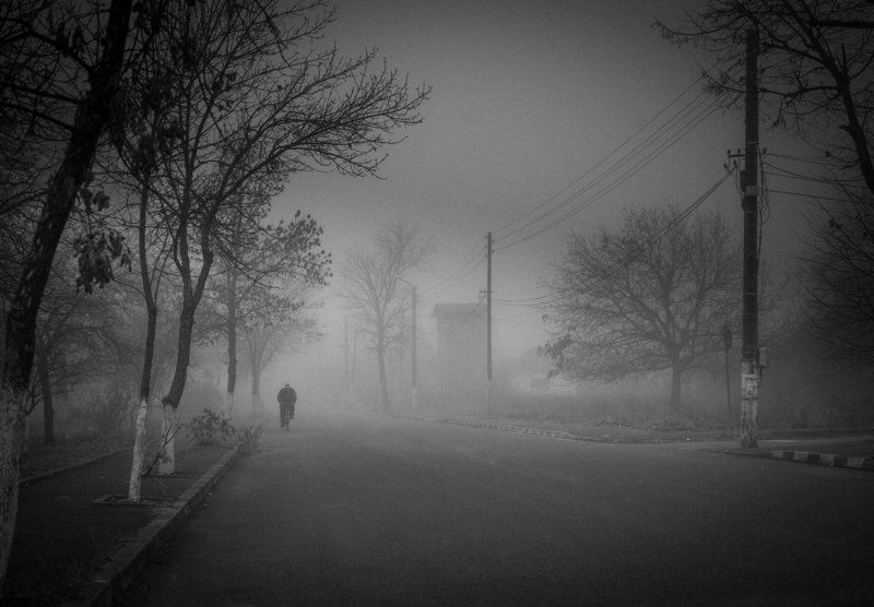 lost in the mist фото превью