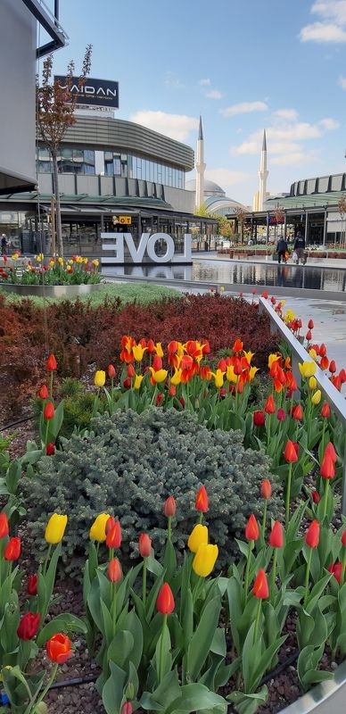 Анкара, весна Весна в Анкаре 2019photo preview