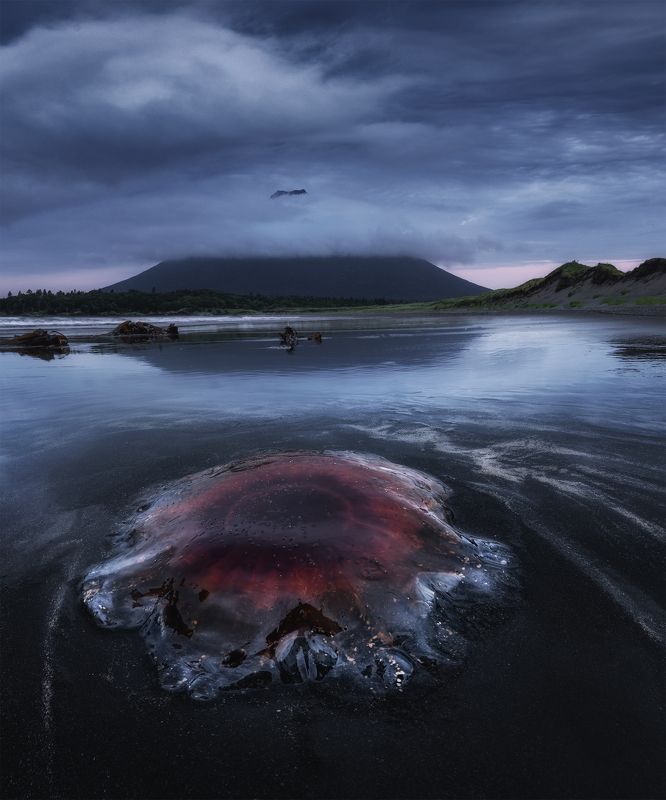 Атсонупури фото превью