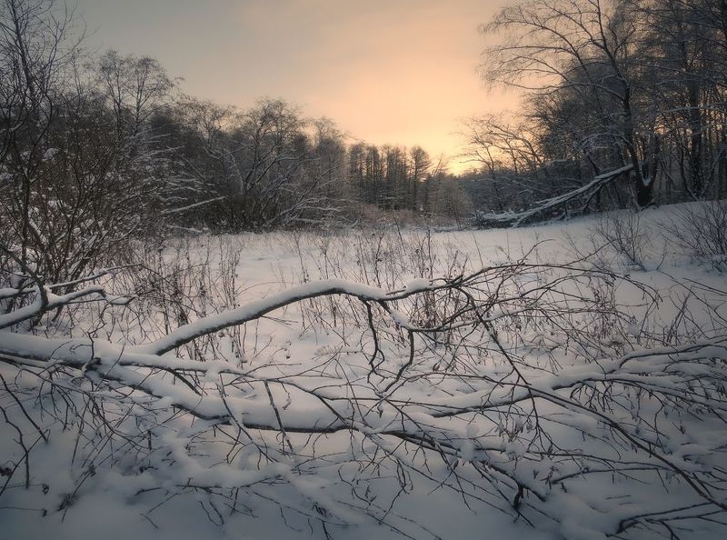 пейзаж, природа, лес, зима, рассвет, небо, снег Утро морозноеphoto preview