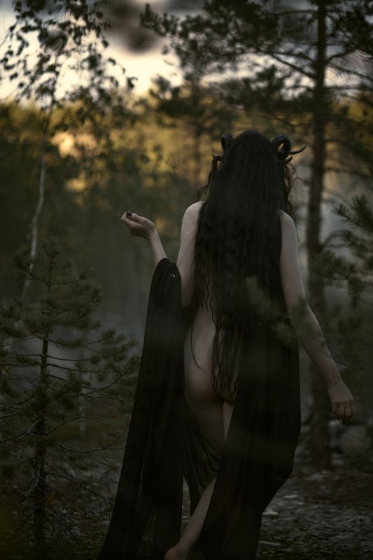 Мох фото превью