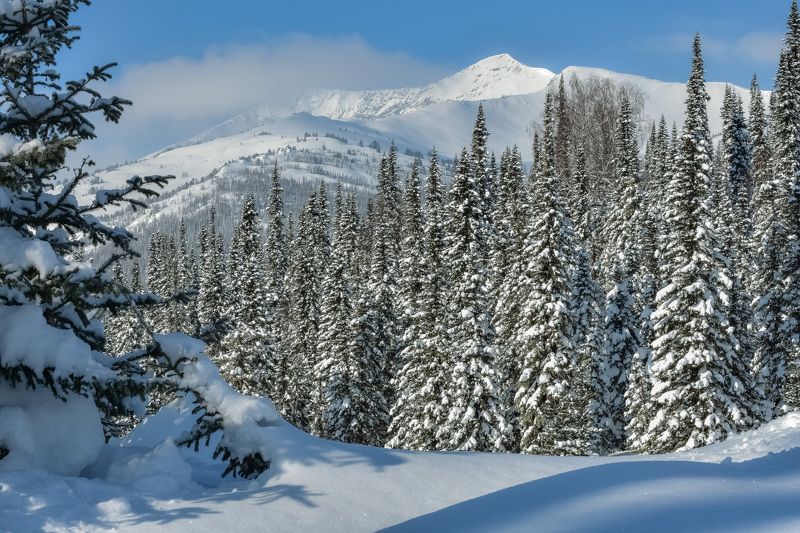 россия, хакасия, кузнецкий алатау, зима, мороз, ели, горы Горы Кузнецкий Алатау зимойphoto preview