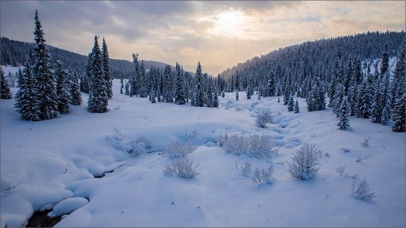 ергаки, луг, снег, зима, ели, река Замороженный мирphoto preview