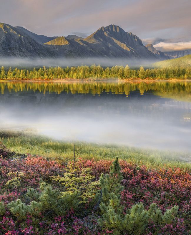 #topnature #russpasibo #magic_shots #lovelyRussia #sunset_vision #exclusive_sky  #exclusive_shots #loves_russia2 #photoarena_nature #nature_sultans #nature_perfection #rsa_sky #rsa_sunset #photorussia #rsa_naturepics #sunsetsRussia #landscape_Russia #love Ранее утро на Колыме... фото превью