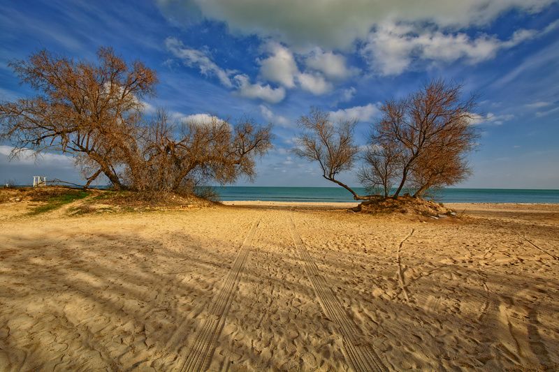 Прямо по курсу Черноеphoto preview