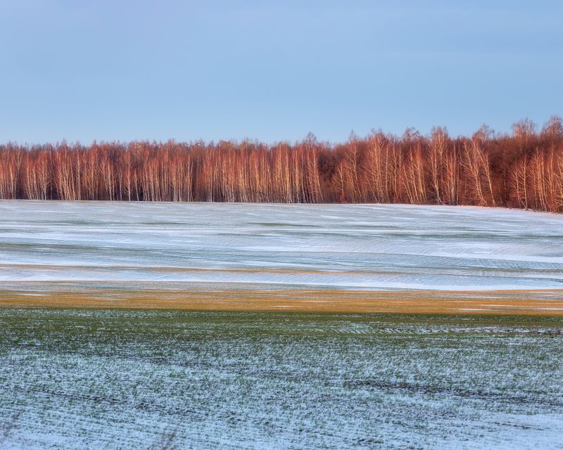 пейзаж, Тульская область, природа, зима, зимний пейзаж, поля зимой Тульскаяя областьphoto preview