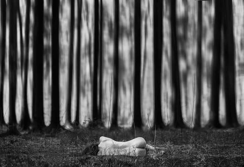 лес, девушка, природа, уединение, Лес Тенгуphoto preview