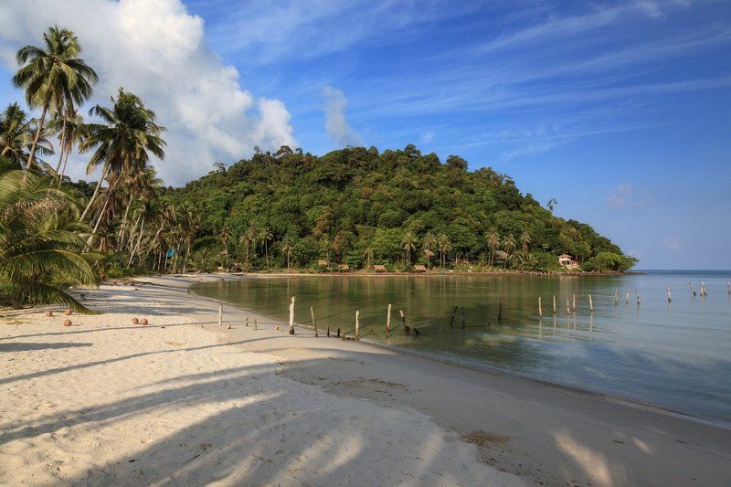 берег песок пляж пальмы море джунгли тени облака утро Тропическое утроphoto preview