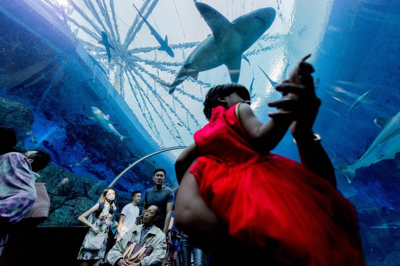 Singaporephoto preview