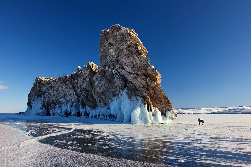Малое Сфинкс января фото превью