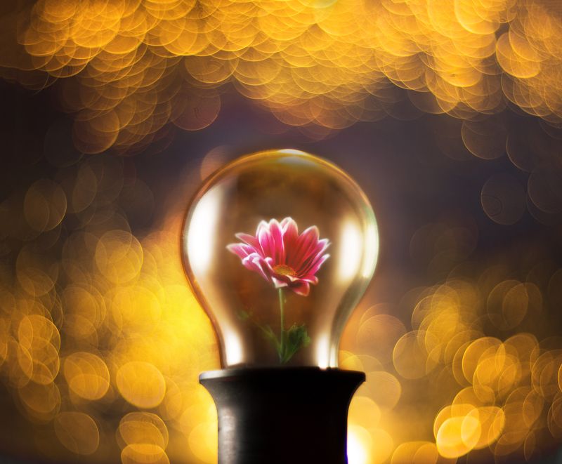 лампа источник светаphoto preview