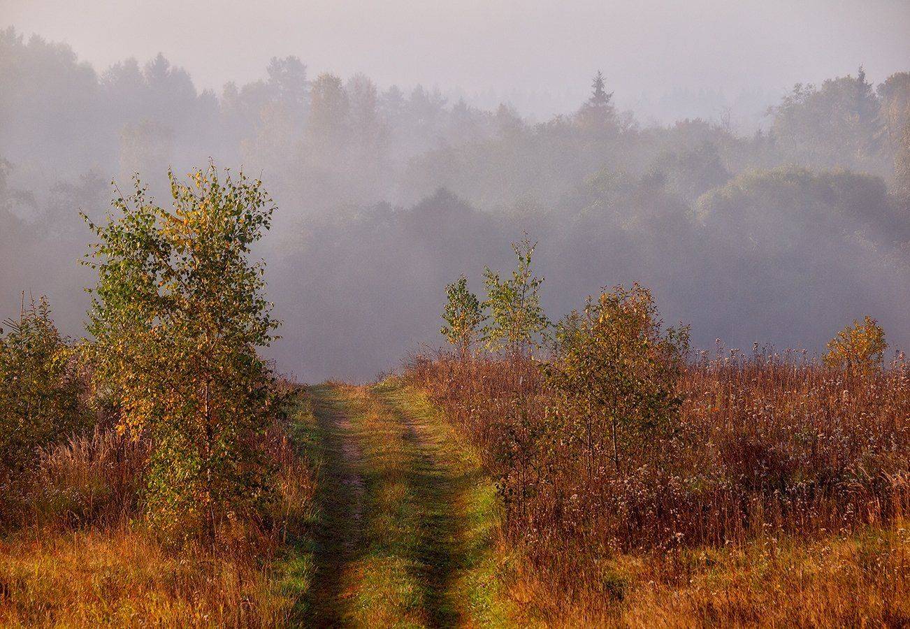 ***. Автор: Владимир Перепечаев , Владимир Перепечаев