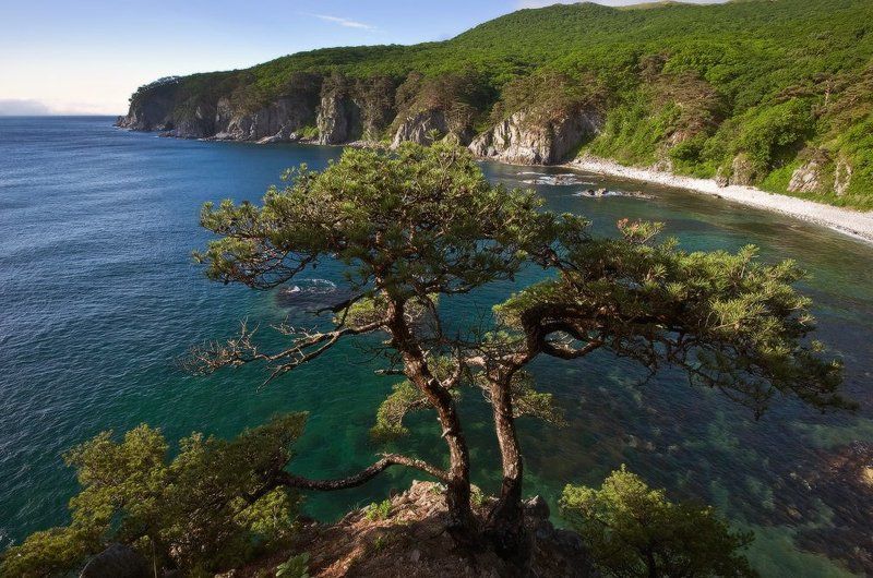 Утро в бухте Теляковскогоphoto preview