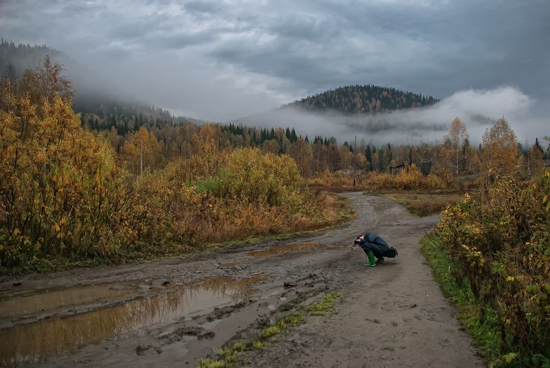 лужба осень горы туман утро  Осень в горахphoto preview