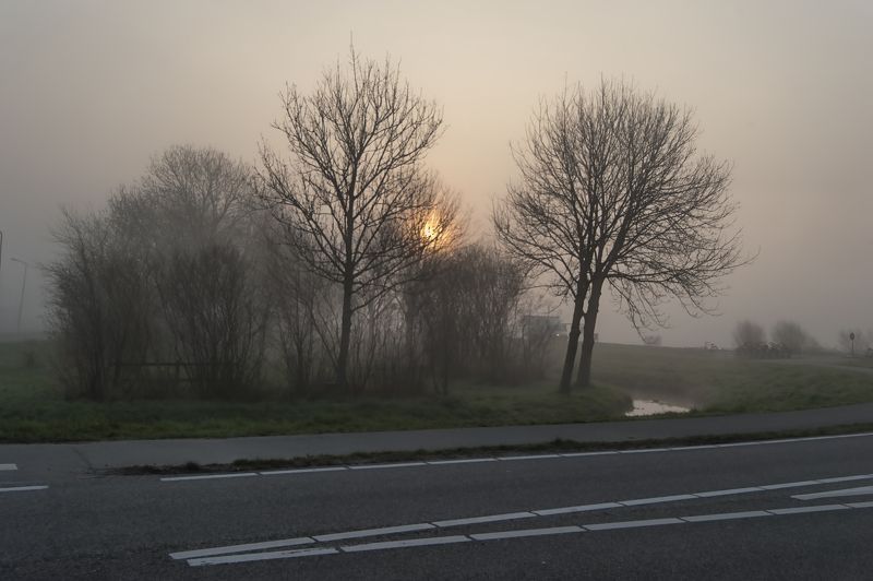 Fog Holand Fogphoto preview